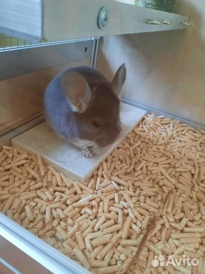 Охлаждающая плитка камень для шиншилл