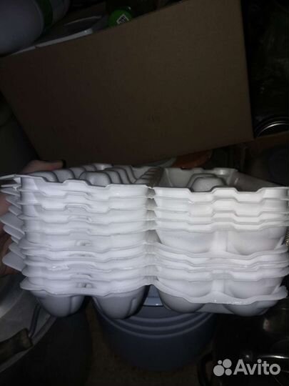 Лотки для яиц