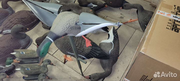 Чечела уток, гусей 20 шт., вороны 3 шт, махокрыл