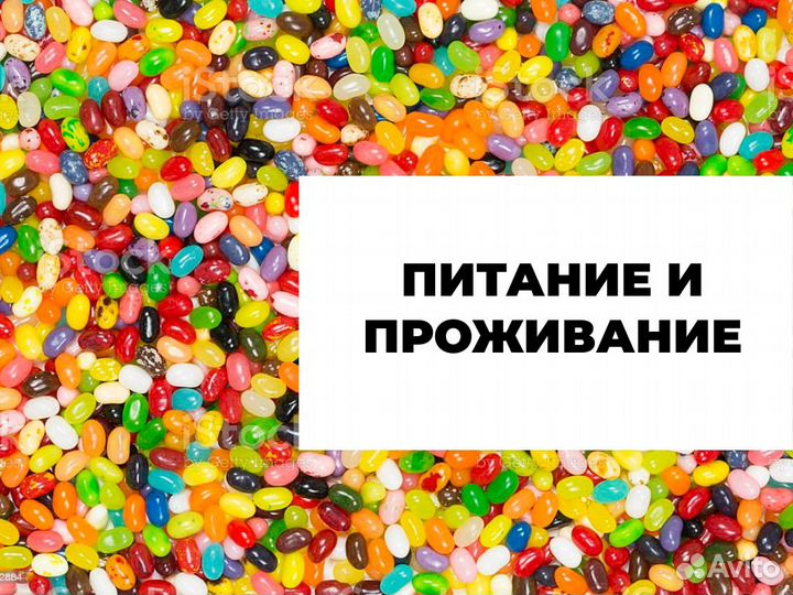 Вахта с проживанием