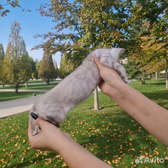 Девочки и мальчики