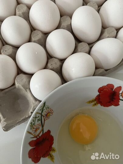 Домашние куриные яица