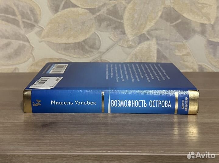 Мишель Уэльбек. Возможность острова