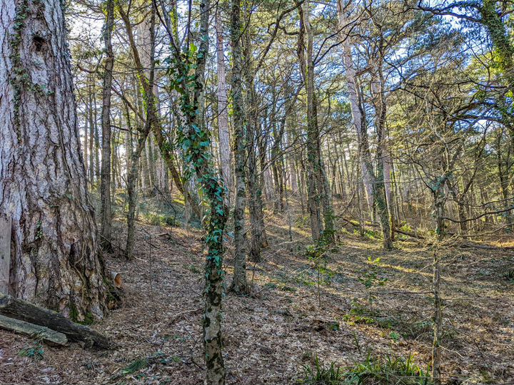 Участок 2,66 га (ИЖС)