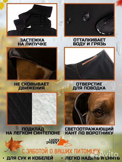 Комбинезон для собак