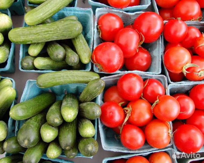 Работник теплицы/Без опыта/Авансы еженедельно