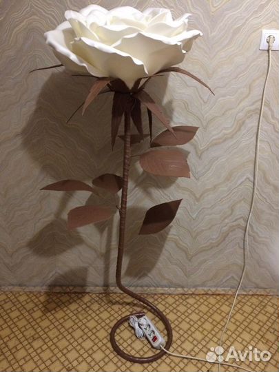 Ростовые розы в наличии и на заказ