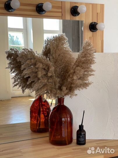 Камыш сухоцвет