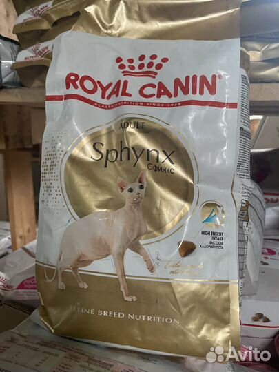 Корм дял кошек 7 кг Royal Canin Sphynx
