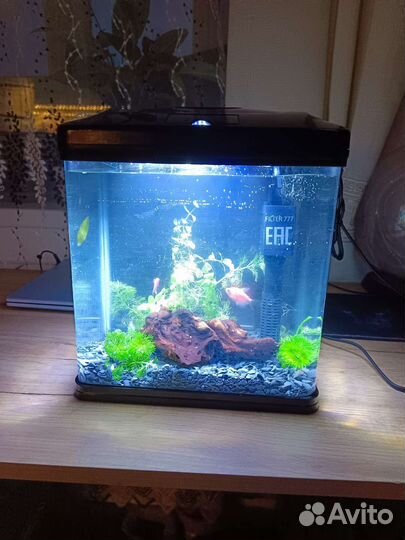 Аквариум