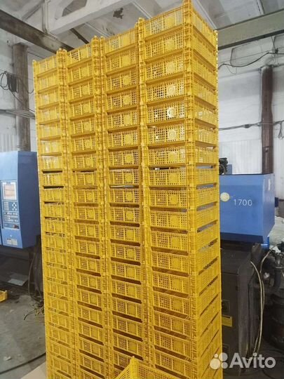 Ящики грибные