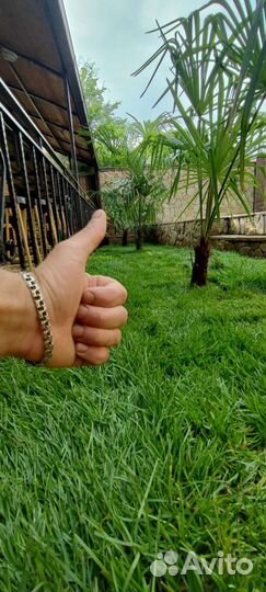 Рулонный Газон