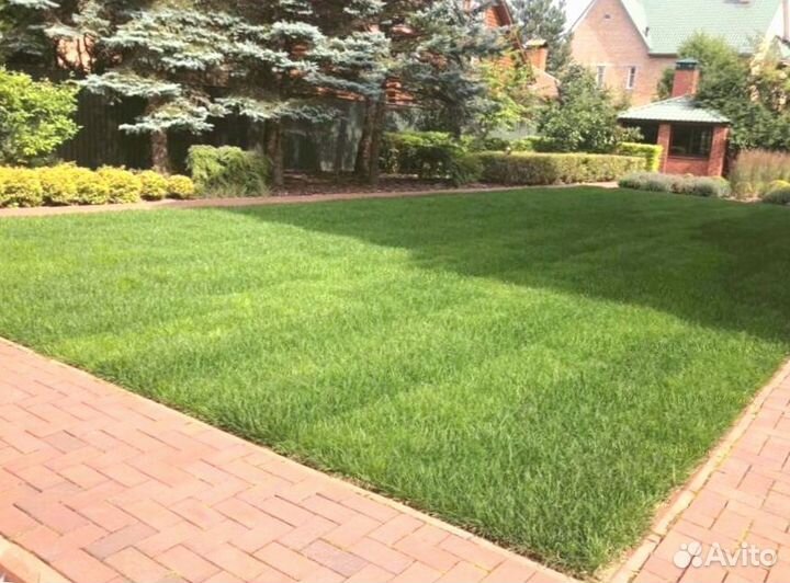 Рулонный газон