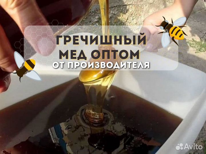 Оптом Алтайский мед гречишный