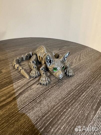 Котята сфинкс