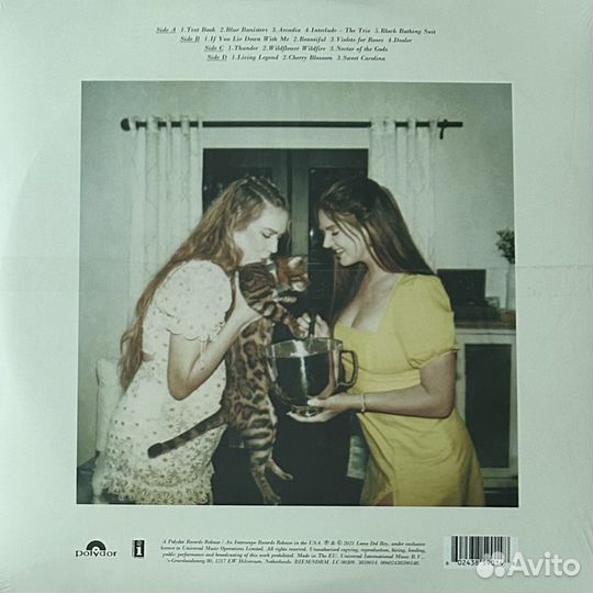 Lana Del Rey – Blue Banisters 2LP (Европа 2021г.)