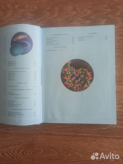 Иллюстрированная энциклопедия школьника