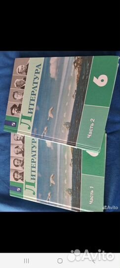 Учебник литературы 6 кл коровина 2021 год