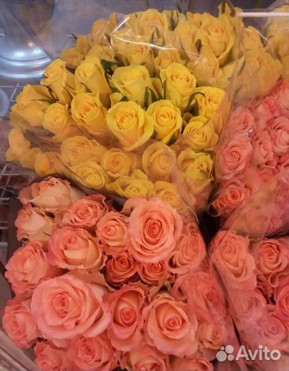 Розы оптом
