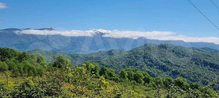 Участок 2,5 сот. (СНТ, ДНП)