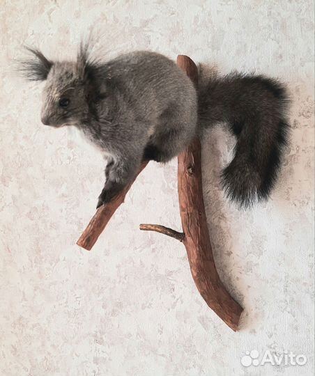 Имитация чучело белки