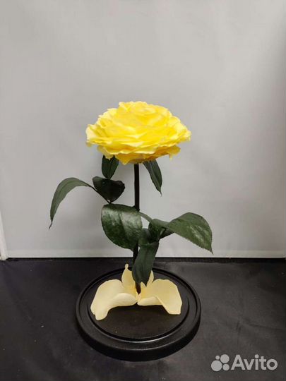 Роза в колбе оптом и в розницу