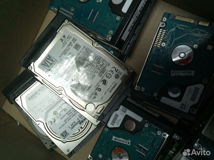 Винчестеры 2,5