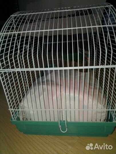 Клетка для грызунов большая