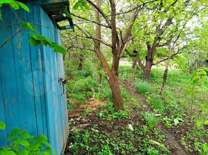 Участок 4 сот. (СНТ, ДНП)