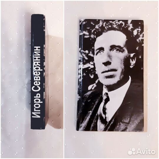 Путешествие в страну поэзия