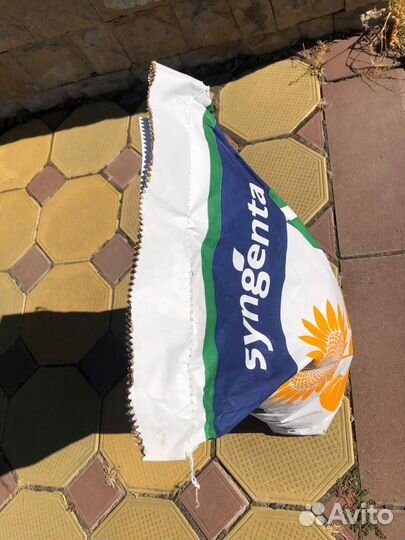 Семена подсолнечник сингента