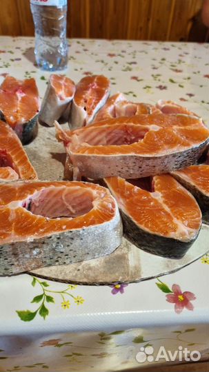 Форель свежемороженая Опт