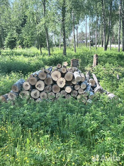 Дрова бесплатно