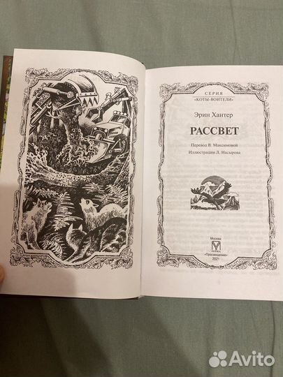 Коты воители - рассвет