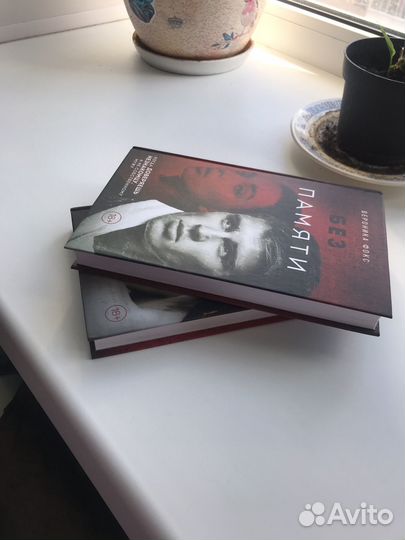 Багровый роман