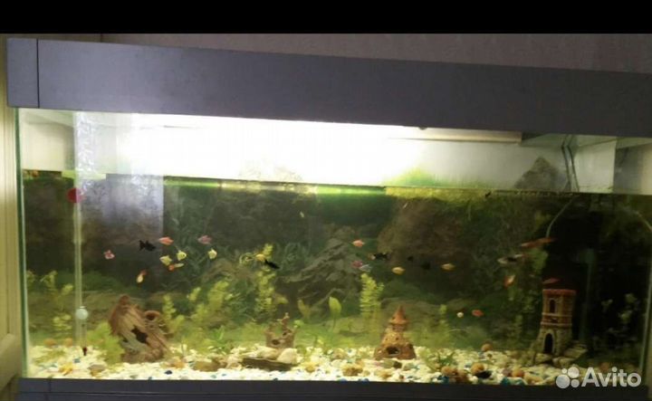 Аквариум с тумбой