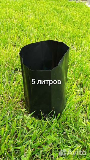 Пакеты для саженцев, рассады