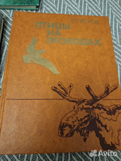 Детские книги пакетом