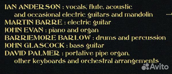 Виниловая пластинка WM Jethro Tull Heavy Horses (S