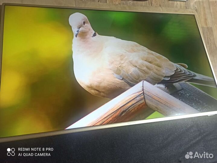 Телевизор Samtron 50SA704