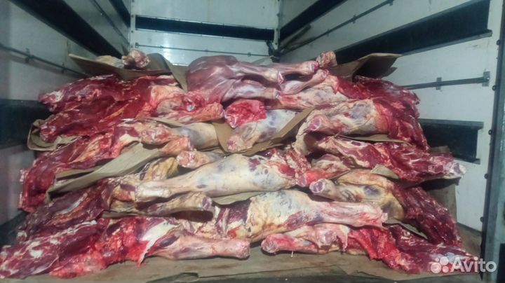 Продам мясо говядины,баранины