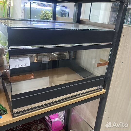 Террариумы