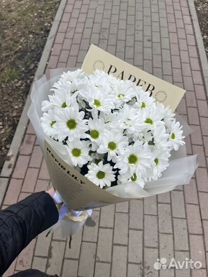 Букет цветов (хризантемы кустовые )