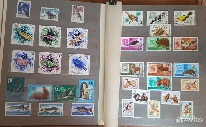 Альбом с почтовыми марками СССР