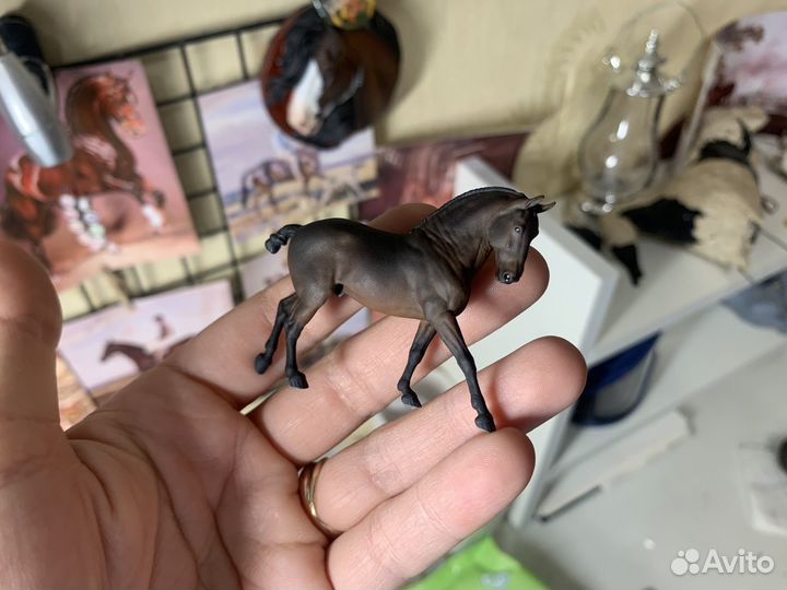 Маленькая коняшка