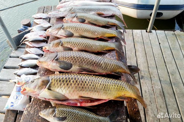 Рыбалка / Астрахань / Турбаза