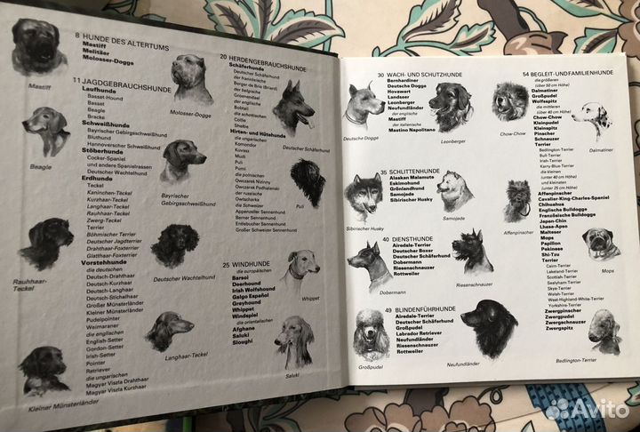 Книги о животных на немецком языке