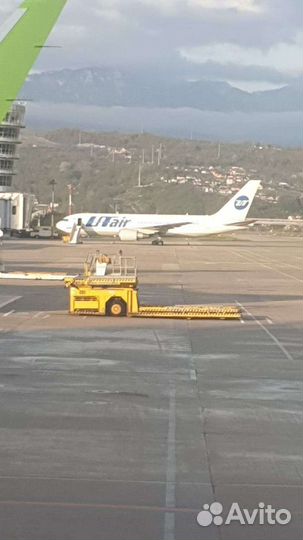 Спил деревьев