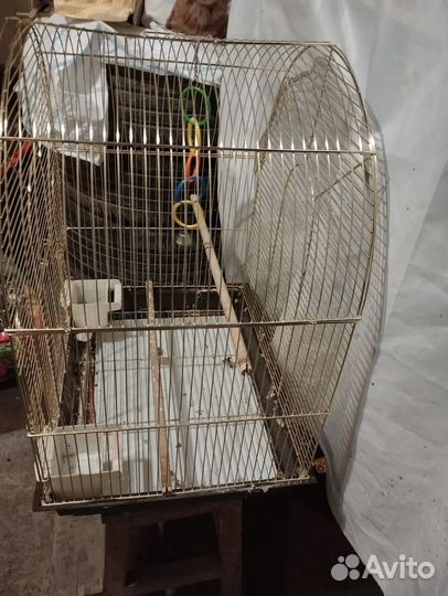 Клетка металлическая для птиц, золотая