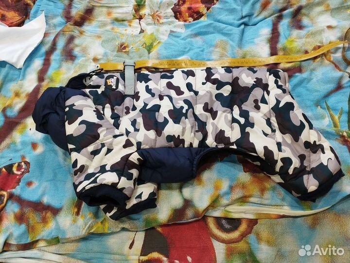 Одежда для собак